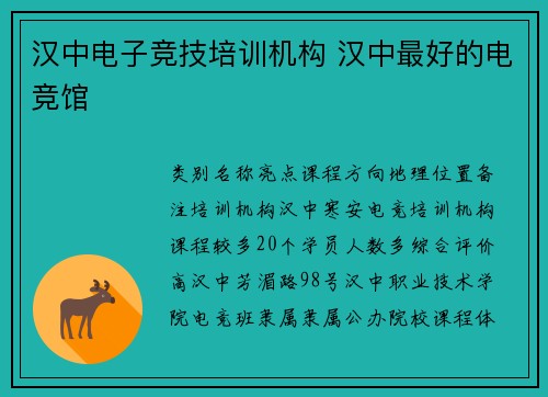 汉中电子竞技培训机构 汉中最好的电竞馆